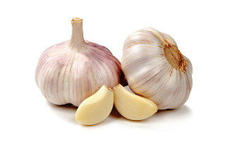 garlic against parasites